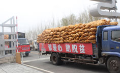 中加農業：馬鈴薯產業扶貧